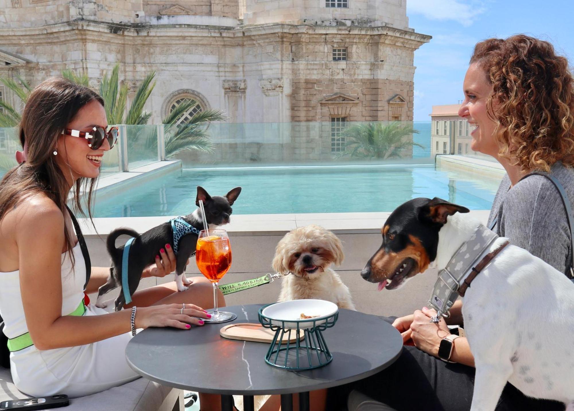 Boutique Olom - Only Adults Recommended Cádiz